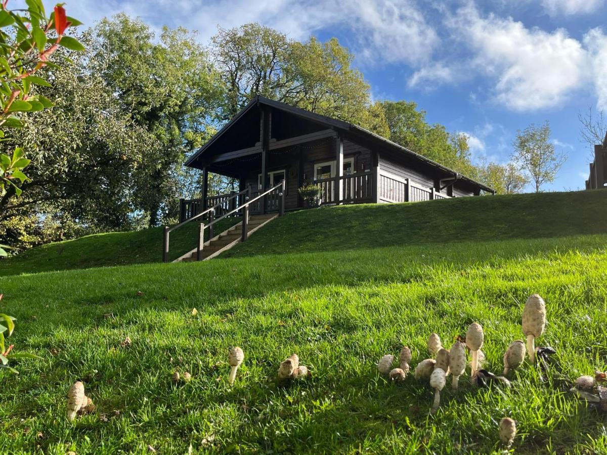 Hollybush Holiday home Leigh upon Mendip