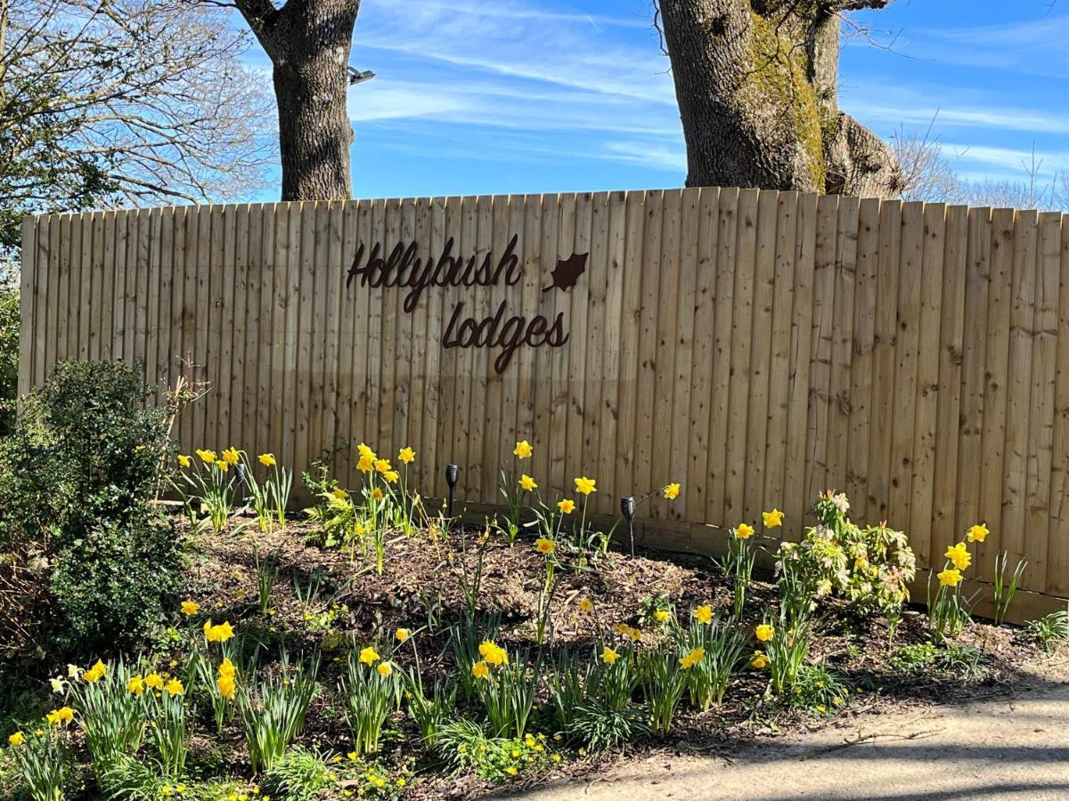 Hollybush